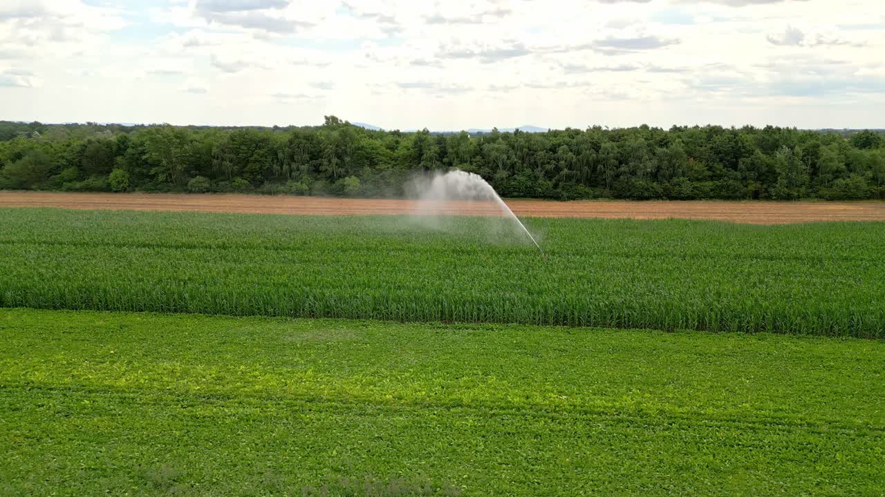 sistema de riego regando el campo de maíz en marchfeld, austria - toma de avión no tripulado