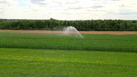 Bewässerungssystem-Bewässert-Maisfeld-In-Marchfeld,-Österreich---Drohnenaufnahme