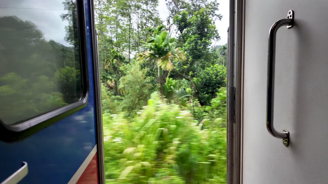 Experience the lush greenery and serene landscapes of rural Sri Lanka from an open train door. A picturesque rail travel adventure showcasing the beauty of the countryside.