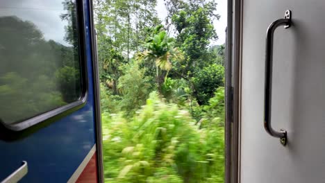 experience the lush greenery and serene landscapes of rural sri lanka from an open train door. a picturesque rail travel adventure showcasing the beauty of the countryside.