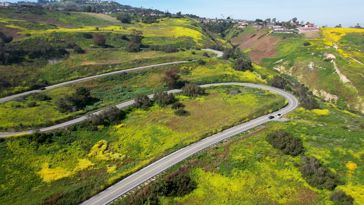 Strada tortuosa con auto che attraversano campi di fiori selvatici verso un quartiere californiano