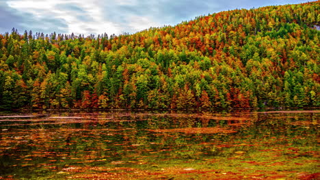 Lapso-De-Tiempo-De-Hojas-En-Descomposición-Flotando-En-La-Superficie-De-Un-Río-En-Austria