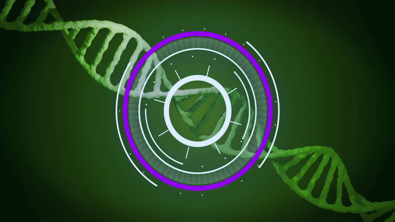 cadena de adn y interfaz digital circular, animación de procesamiento de datos científicos