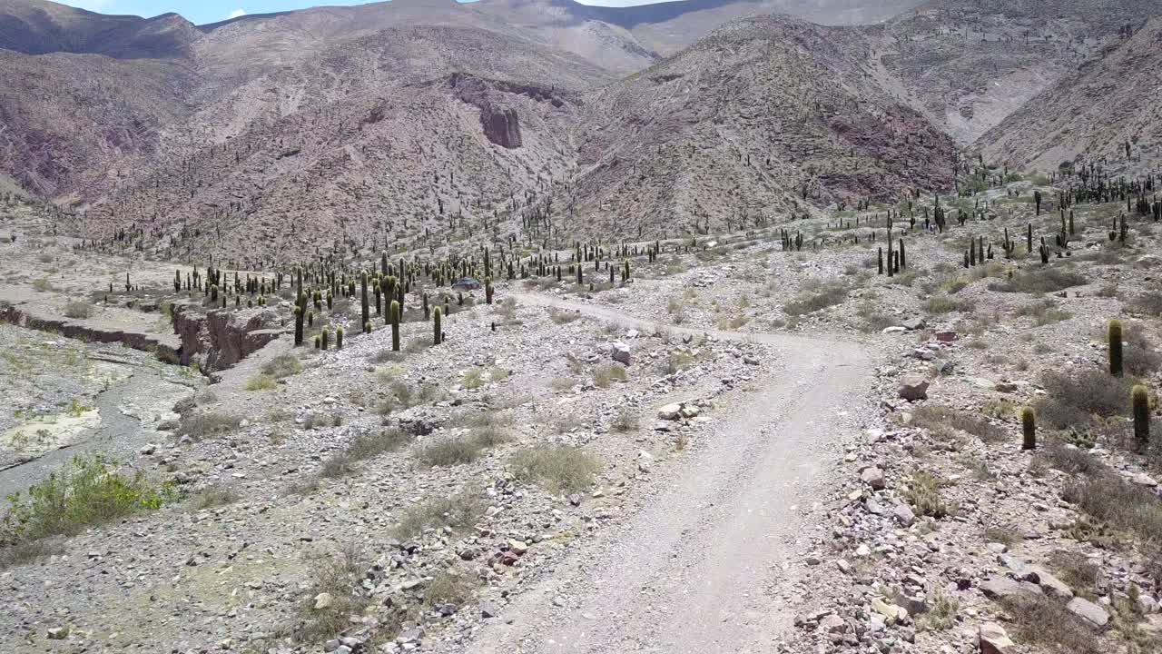 paisaje desértico del noroeste de argentina