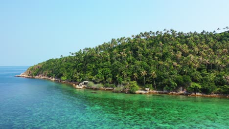 bosque de palmeras en la colina de una isla tropical con costa rocosa rodeada de agua verde turquesa en filipinas