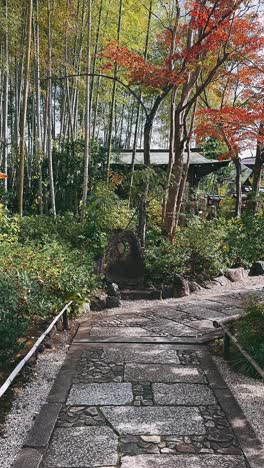 autumnal japanese garden path