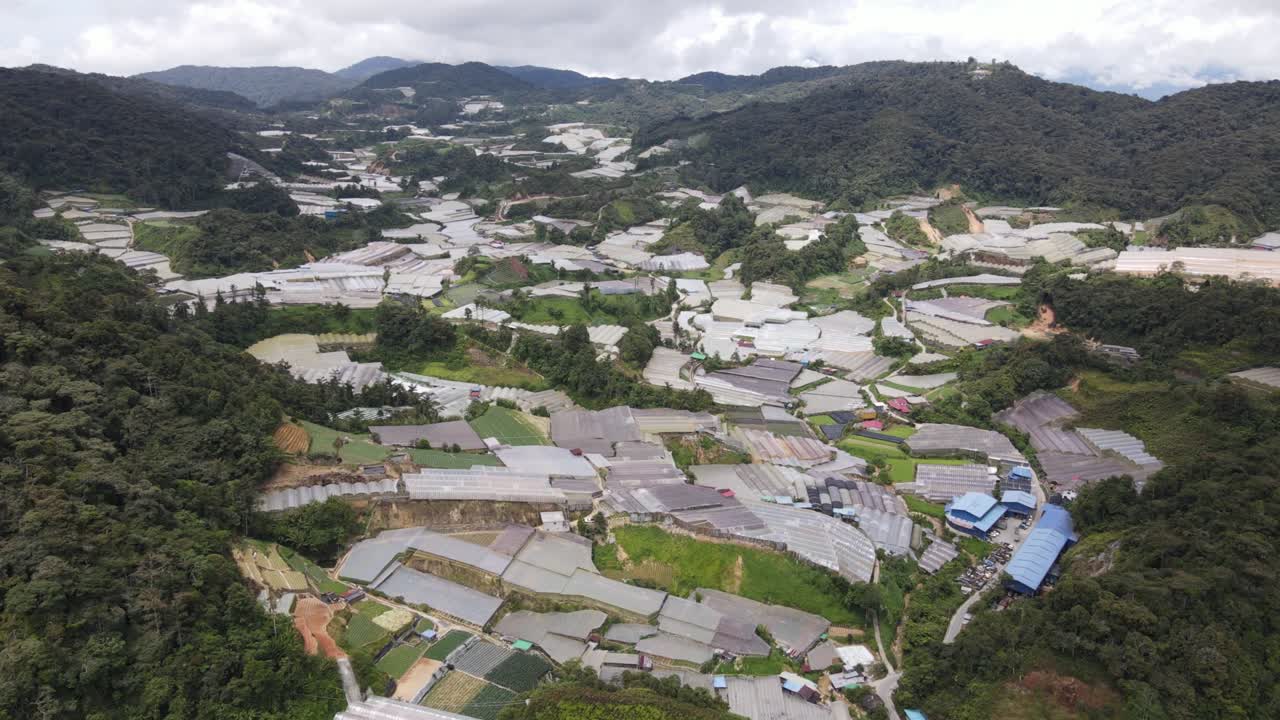 말레이시아의 카메론 하이랜드 지역 내의 브린창 지역의 일반 풍경