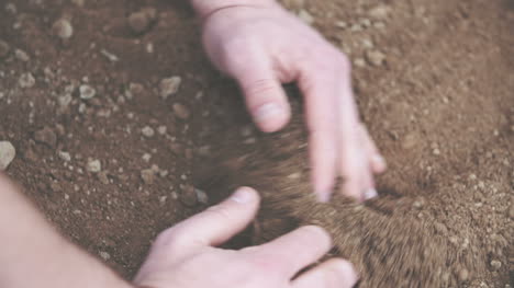 Agricultor-Sosteniendo-El-Montón-De-Tierra-En-Las-Manos-Examinando-El-Suelo-Antes-De-Plantar-Grano