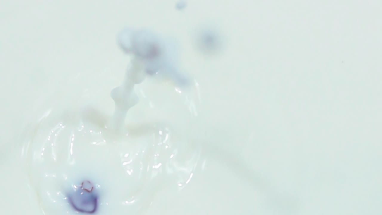 블루베리와 함께 우유 스플래시