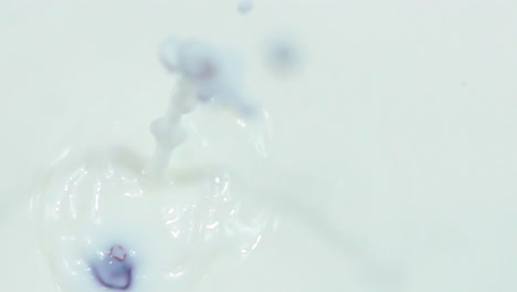 milk splash with blueberry