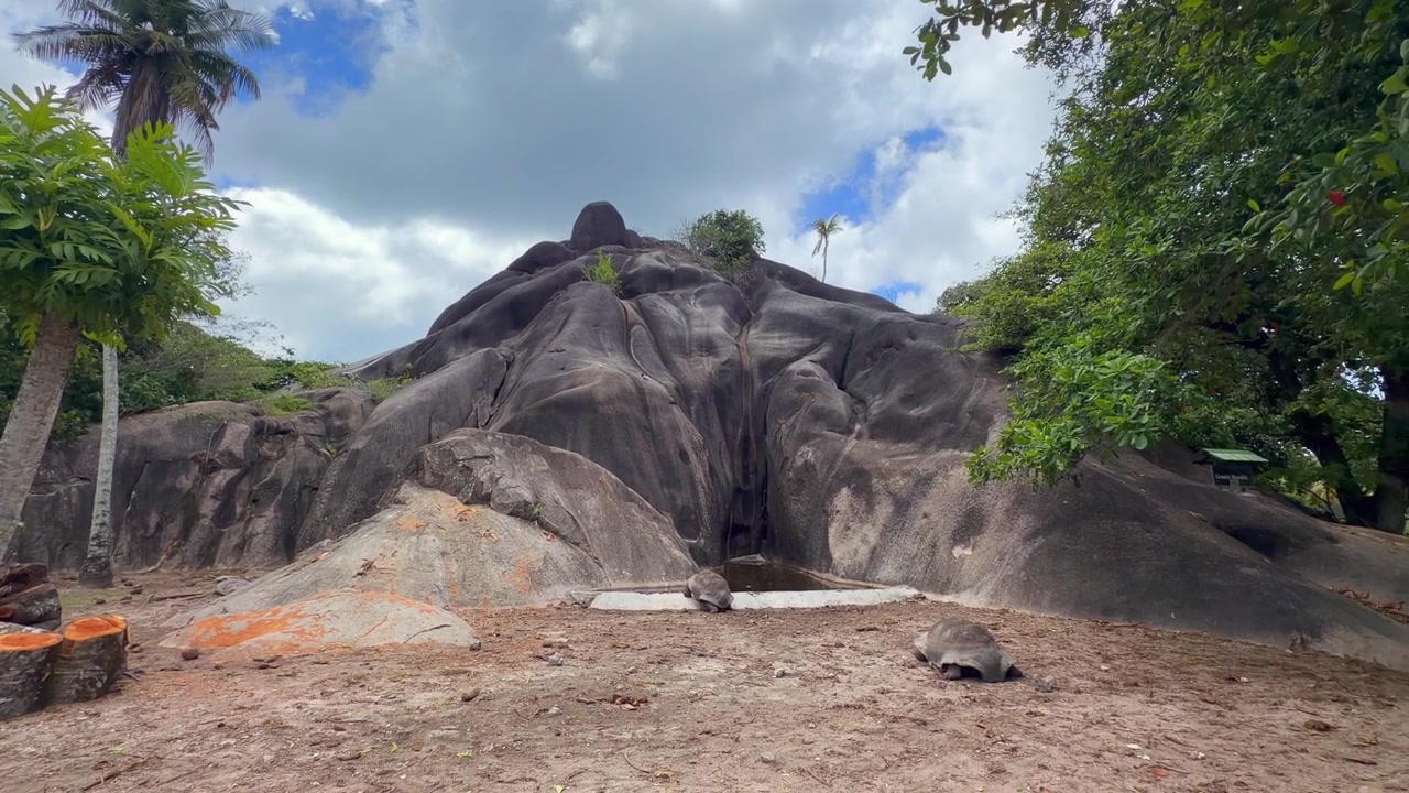 Tartarughe giganti di Aldabra riposano alla base dello spettacolare monolito di granito Giant Union Rock all'interno della tenuta L'Union Estate sull'isola di La Digue, Seychelles.