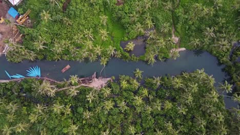 maasin river bent coconut palm tree rope swing on siargao island