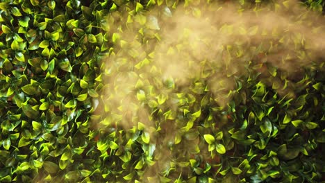vapor de un humidificador con fondo de hojas verdes