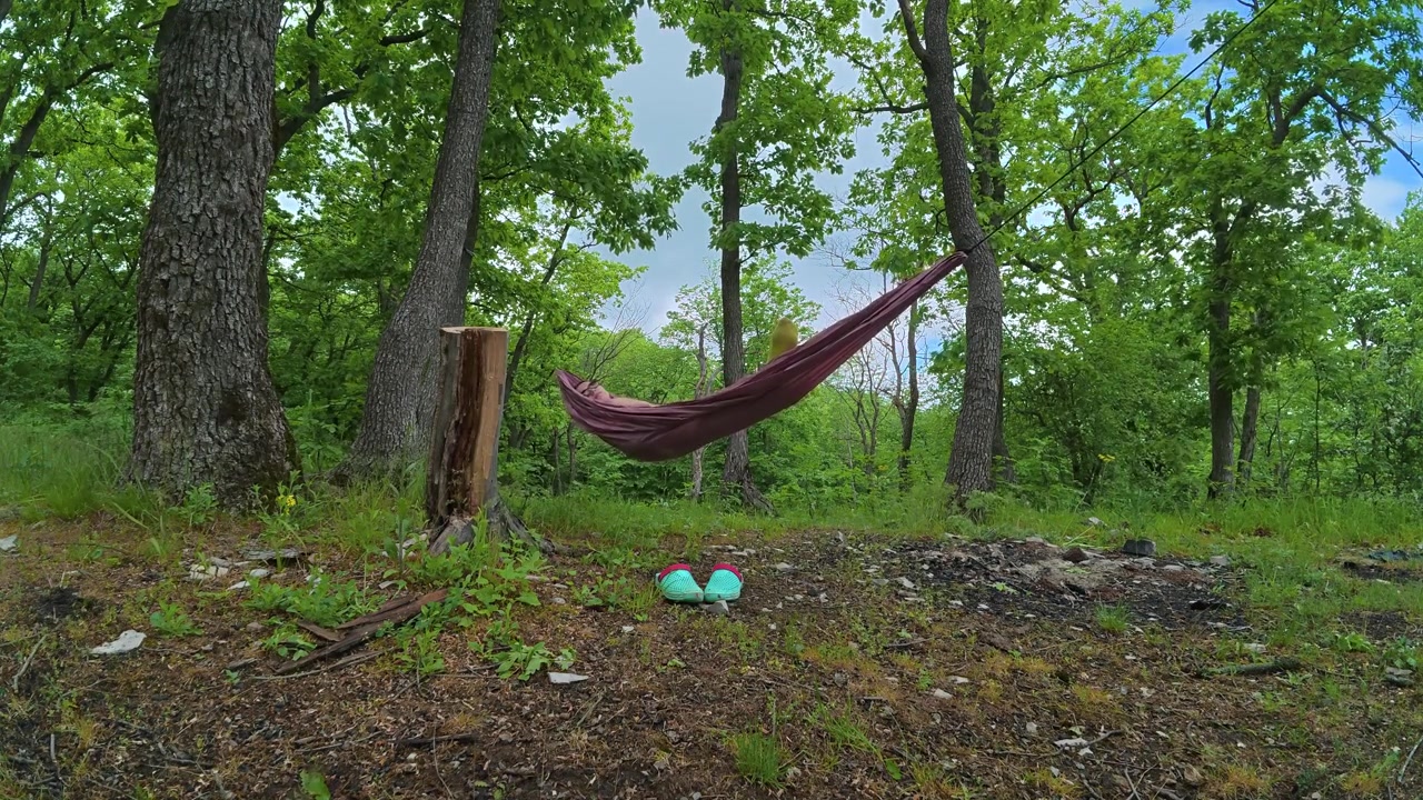Uma pessoa relaxa em uma rede roxa esticada entre duas árvores em uma floresta verde exuberante em um dia de verão ensolarado.