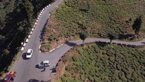 toma de arriba hacia abajo de carreteras y jardines de té en las colinas, mañana soleada en las colinas, toma de revelación lenta