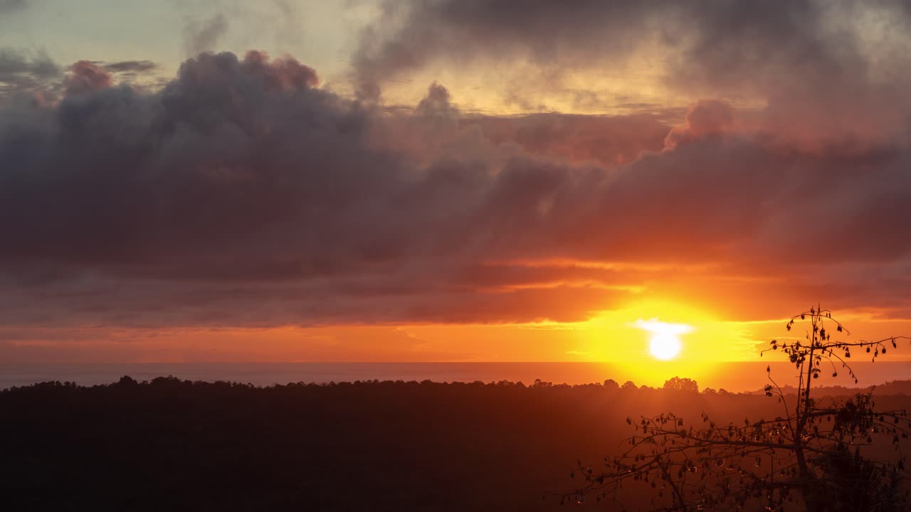 Tropical Sunset with Bats and Cloudy Sky over Ocean