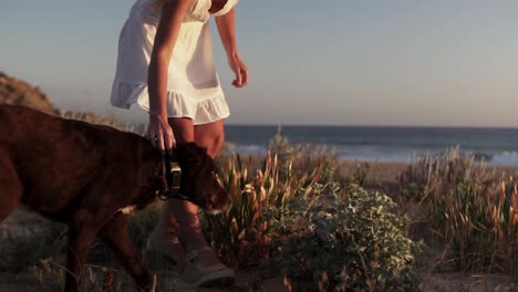 slow motion ascending shot of a young woman dressed in a white dress stroking through the fur of her dog at the dunes on the beach in the background the beautiful sea at the golden hour