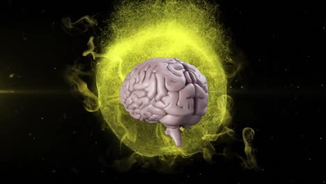 animation of 3d human brain rotating on black background.