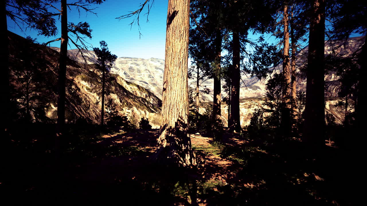 Al crepuscolo, alberi maestosi si ergono imponenti in un sereno paesaggio montano