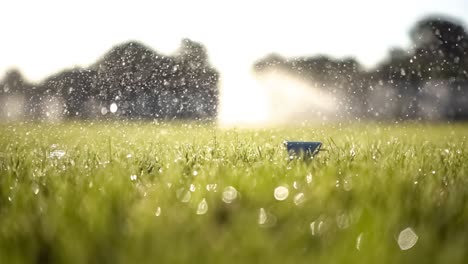 el palo de golf golpea una pelota de golf en una cámara súper lenta. gotas de rocío matutino y partículas de hierba se levantan en el aire después del impacto.