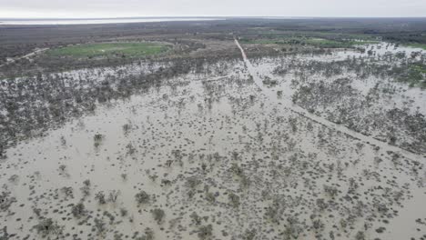 The-Darling-river-in-flood-near-Menindee-in-western-New-South-Wales-,-Australia