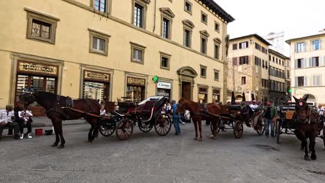 carriages and people in florence, italy