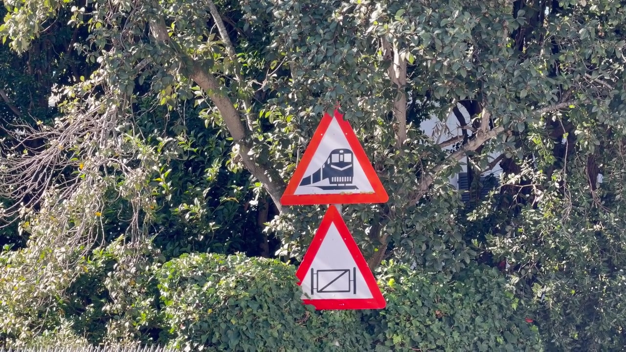 Railway Level Crossing Warning Road Signs Among Green Tree Foliage
