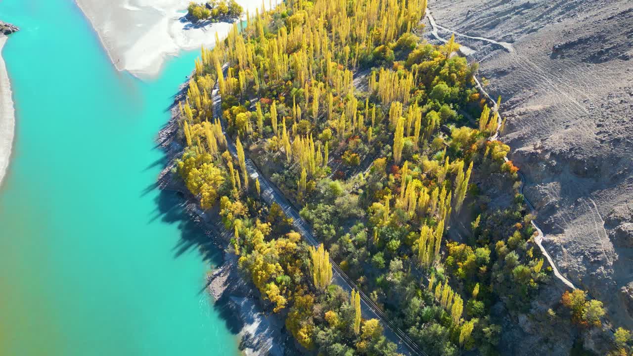 fotografía aérea de ángulo alto de árboles de primavera amarillos junto al lago de agua turquesa en el valle de skardu en pakistán