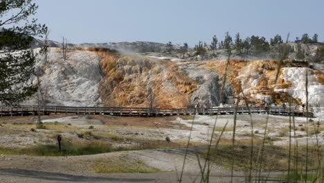 people sightseeing the view of mammoth hot spring on the hill of travertine in yellow stone national park