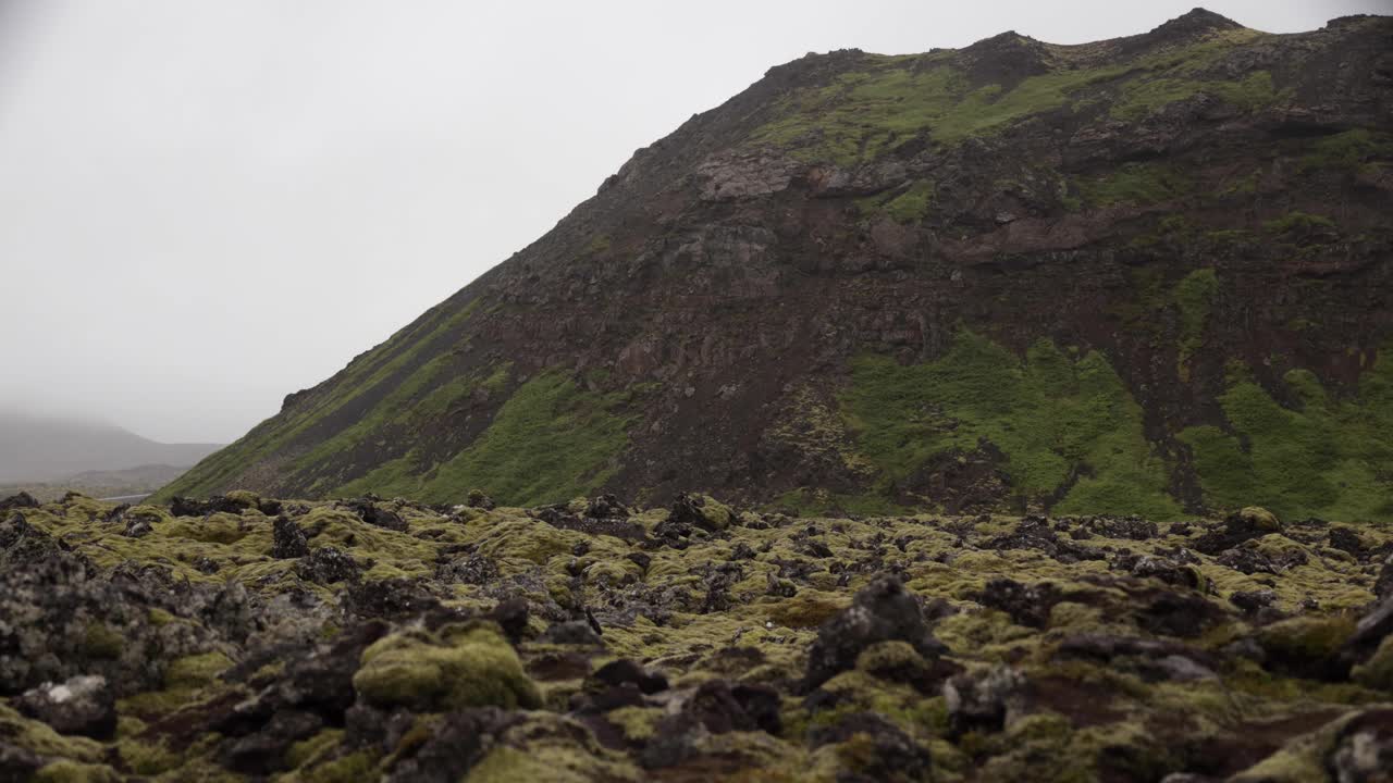 roca cubierta de musgo de islandia 4k con lapso de tiempo de lava