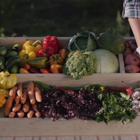 sellers at the farmers market put vegetables on the counter