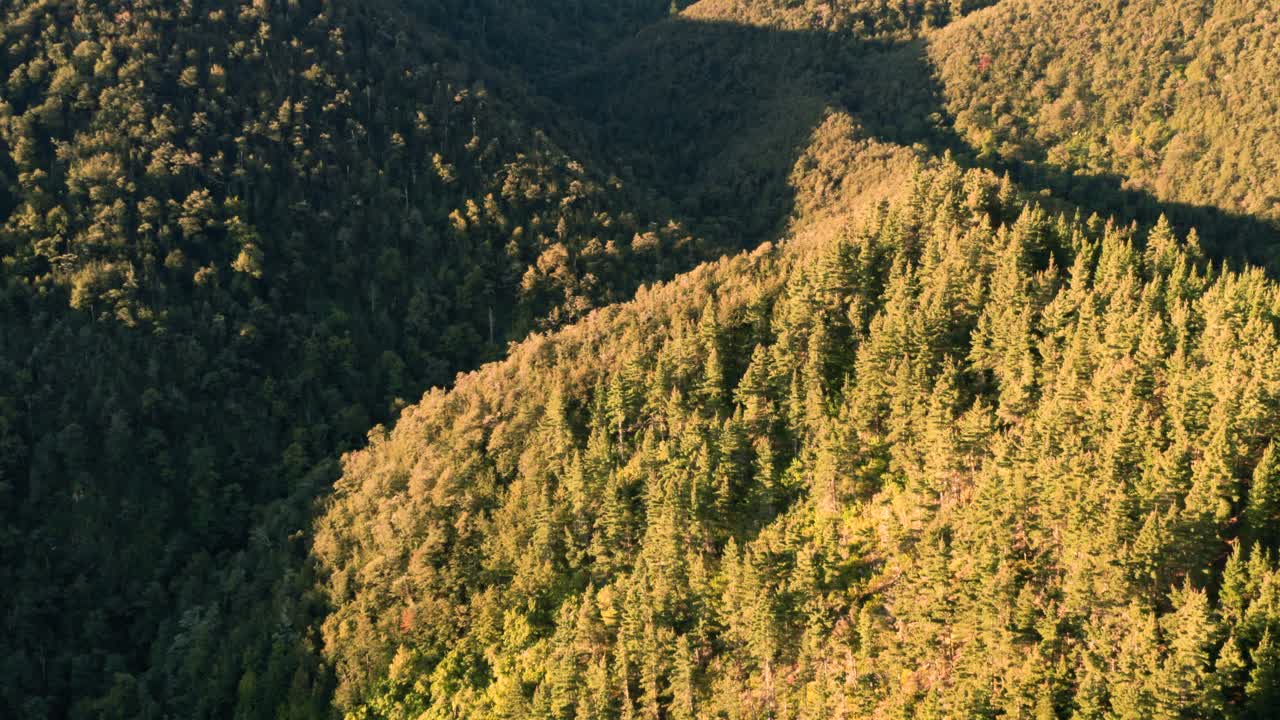 sol, europa, árboles, bosque, amarillo, encima, natural, el maletero, calzada, paisaje, coche, asfalto, camino, transporte, verano, montaña, temporada, sendero, parque, paisaje, vistoso, viaje, otoño