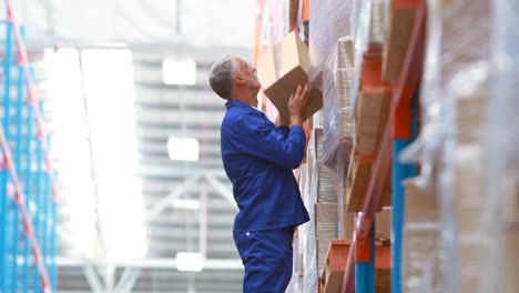 male warehouse worker using ladder to arrange cardboard box