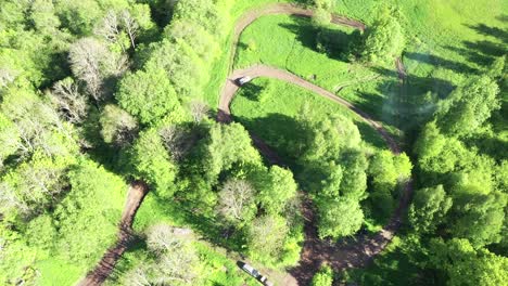 Two-Cars-Compete-on-Race-Track-Laps-in-Backyard-Between-Trees,-Aerial