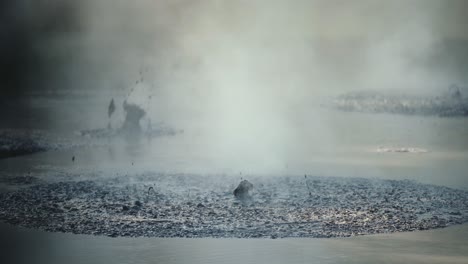 piscina de lodo volcánico en rotorua geotérmica, nueva zelanda