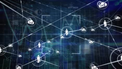 animación de la red de conexiones a través del procesamiento de datos