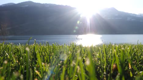 Close-Up-Of-Male-Hiker-Boots-Walking-Left-Across-Grass-By-Lake-Walensee,-Switzerland