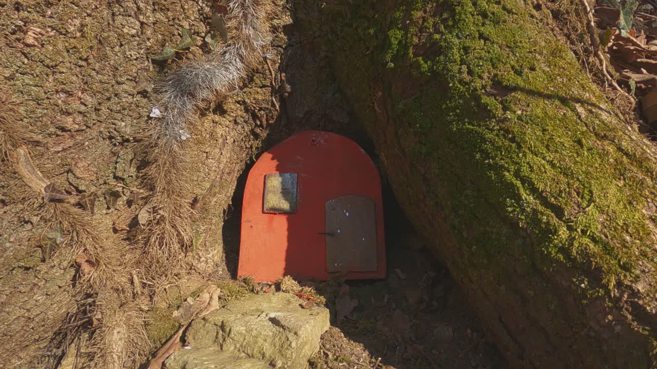 이탈리아 엘프의 인보리오 트레일에 있는 나무 줄기에 있는 컬러 엘프 문과 집들