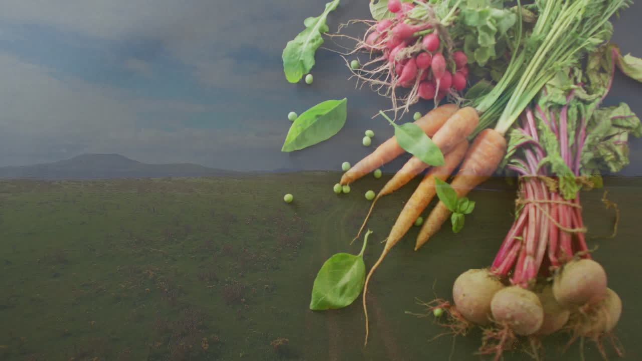 Fresh carrots and radishes with scenic countryside landscape in background