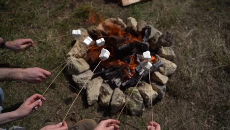 a group of young people warm marshmallows on a bonfire. close up.