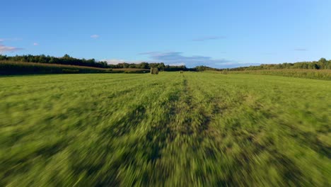 drone flying at ground level in a wheat field before taking off showing a beautiful forest