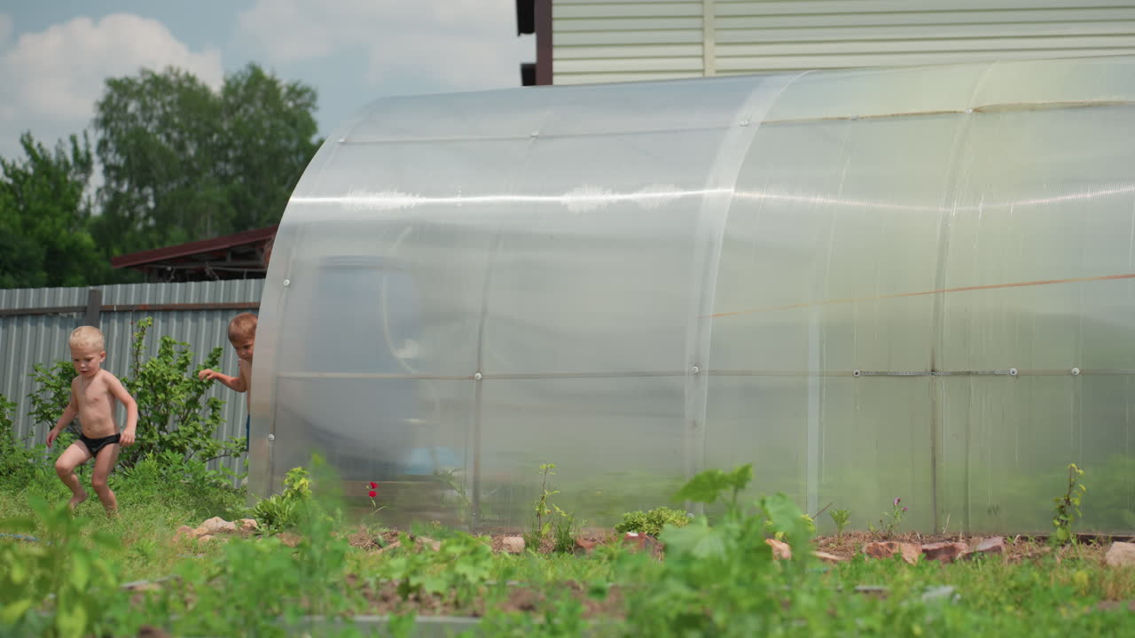 Kids Running Past Plastic Greenhouse In Sunny Backyard, Barefoot Children Sprinting Across Grass Near Vegetable Beds, Joyful Laughter, Playful Chase, Rustic Fence And Cottage In Background, Lively