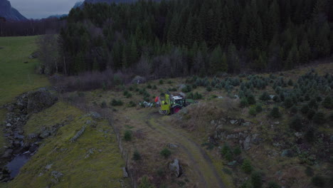 orbital aerial drone above christmas tree plantation packing trees