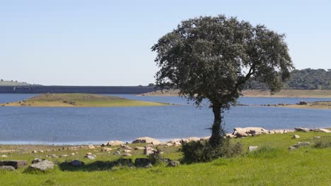 barragem do caia dam in alentejo, portugal