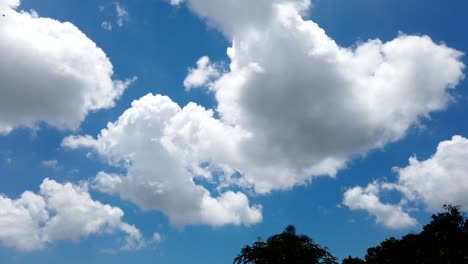 cloudscape timelapse in florida, clouds forming and dissolving on a blue sky, puffy and fluffy cloud as time goes by