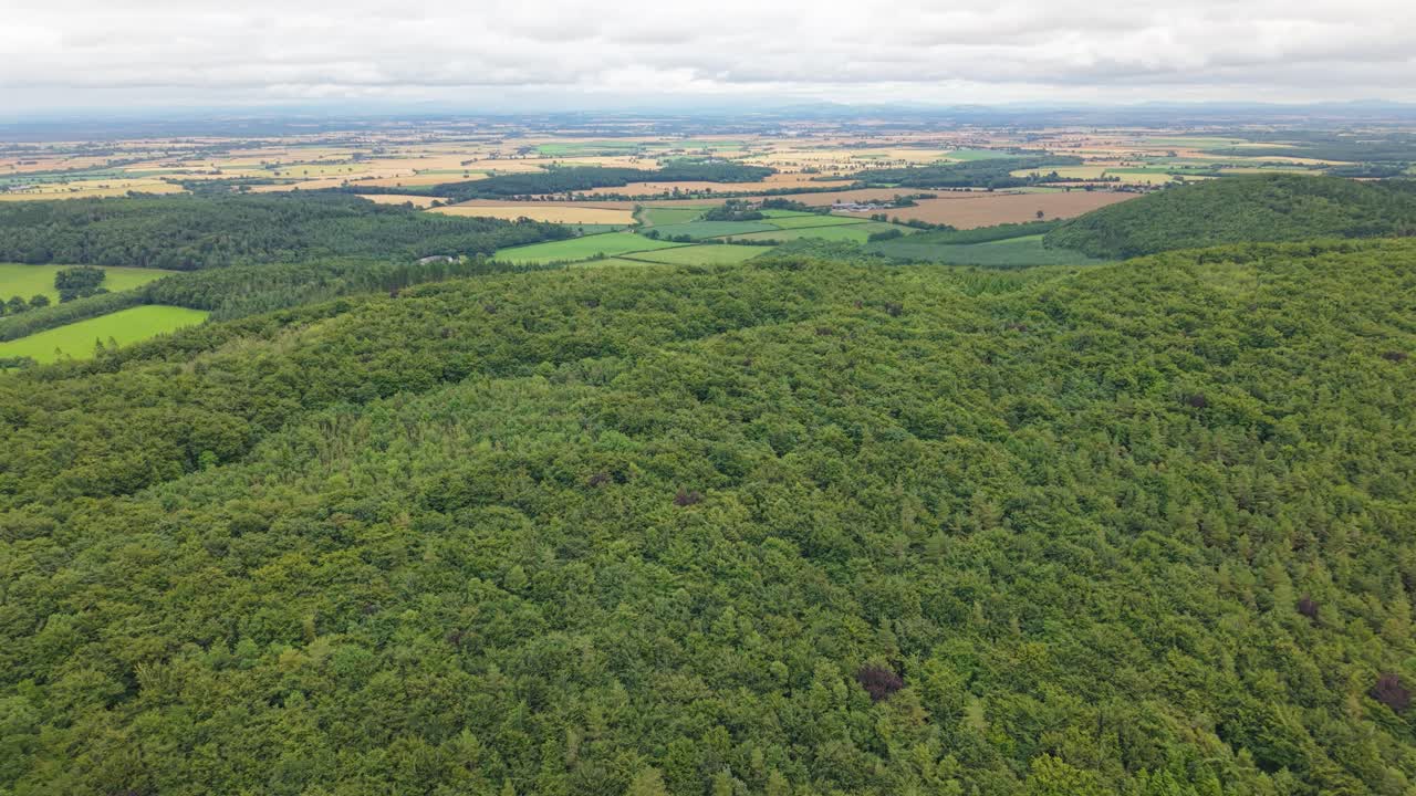 Rolling Countryside, Woodlands and the Lush Green Landscape of the Irish Midlands