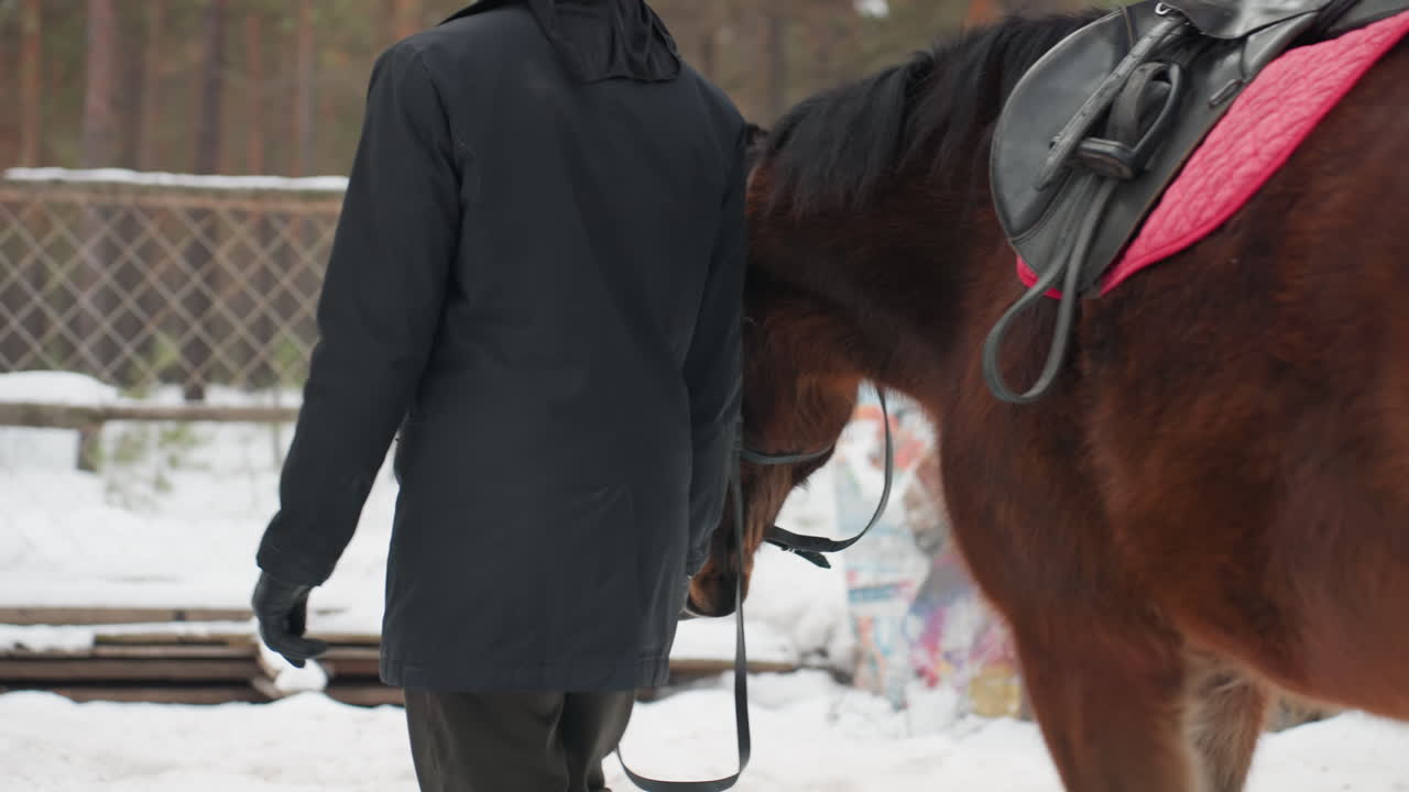적절한 말 안장 위치 선정, 말의 편안함과 안전을 위한 말 안장 조절, 추운 날씨 환경에서 말의 편안함을 보장하고 부상을 예방하기 위한 최적의 안장 조절