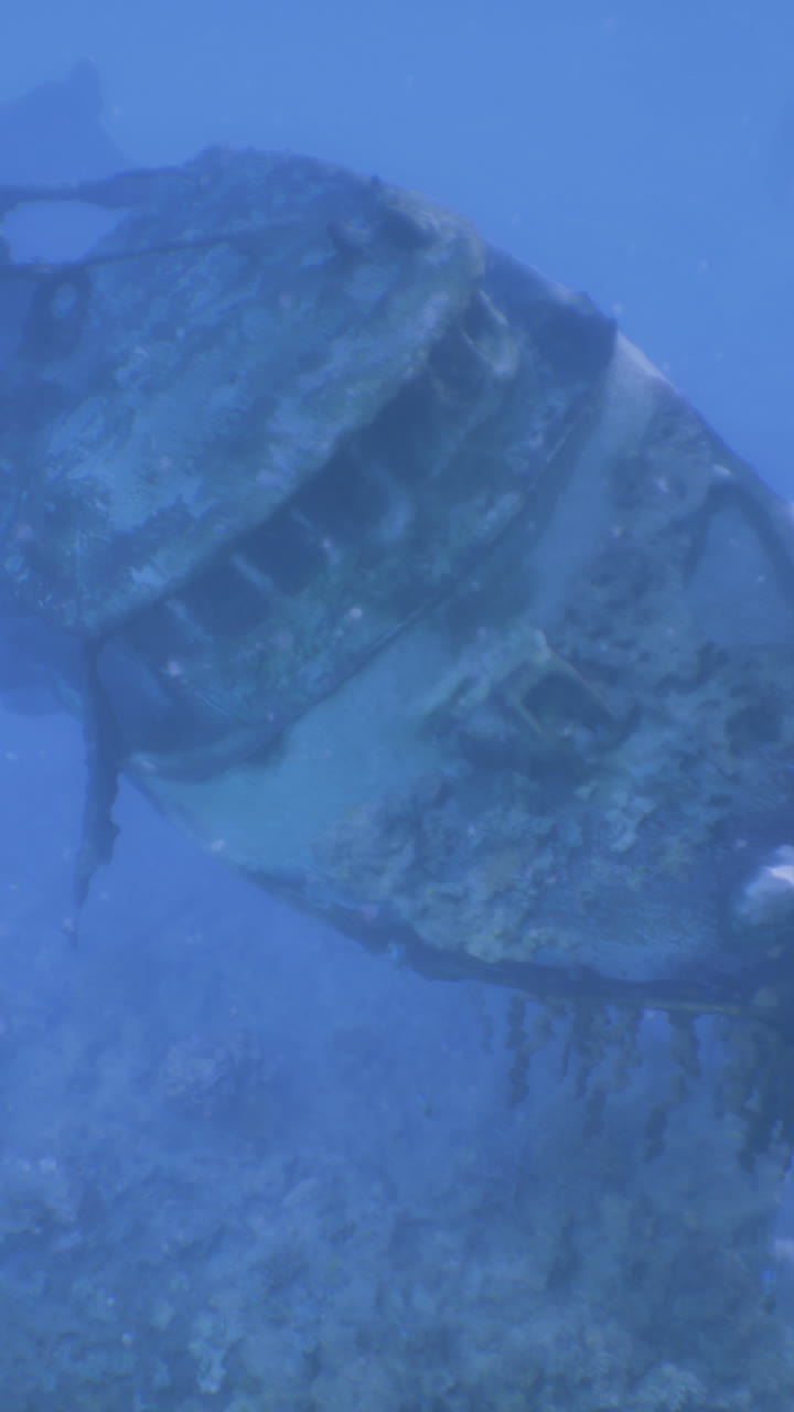 Historic shipwreck remains submerged in clear blue water