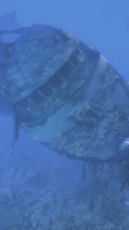 historic shipwreck remains submerged in clear blue water