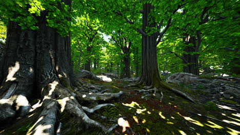 detailed close up view on a forest ground texture with moss